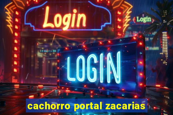 cachorro portal zacarias