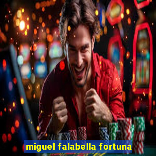 miguel falabella fortuna