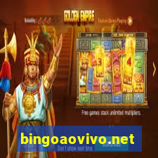 bingoaovivo.net