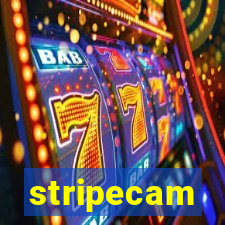 stripecam