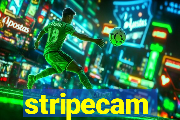 stripecam